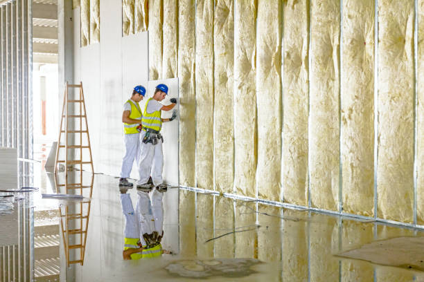 Best Spray Foam Insulation in Houston, AK